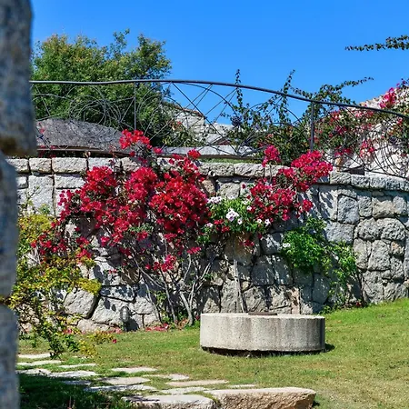 Casa 3
